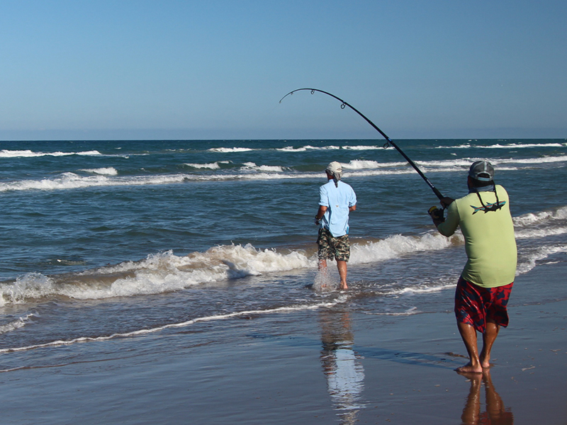 Oceanview condo rentals South Padre Island